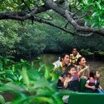 Discovery bintan mangrove