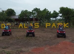 De alas park