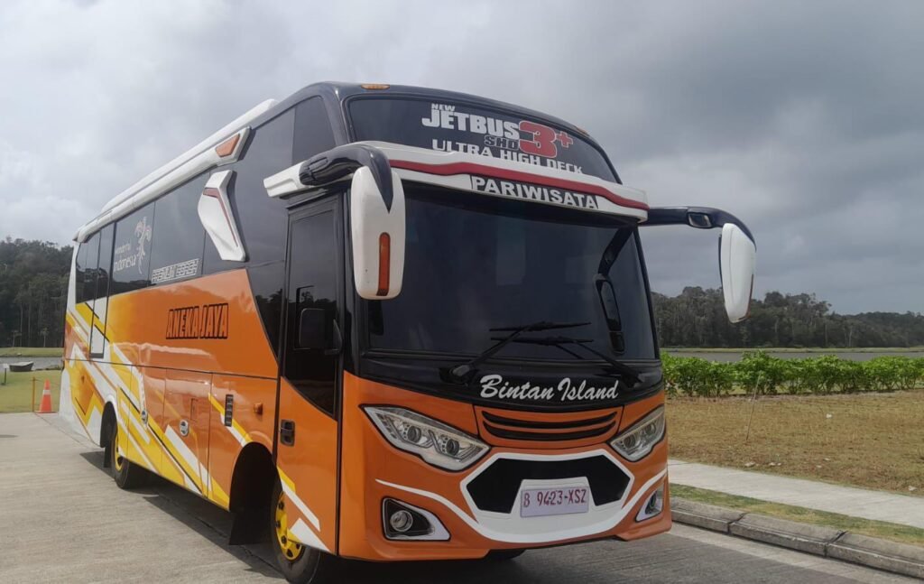 Big bus 35 seats bintan