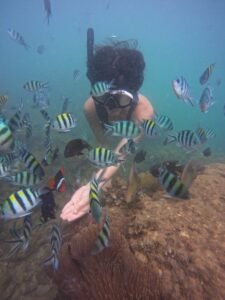 Bintan snorkeling