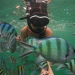 Bintan diving