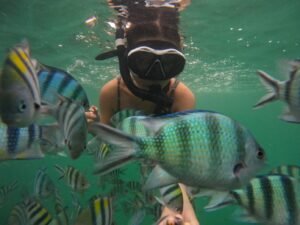 Bintan diving