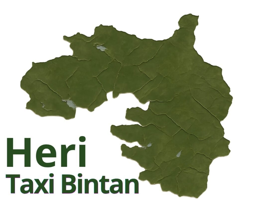 Heri taxi bintan