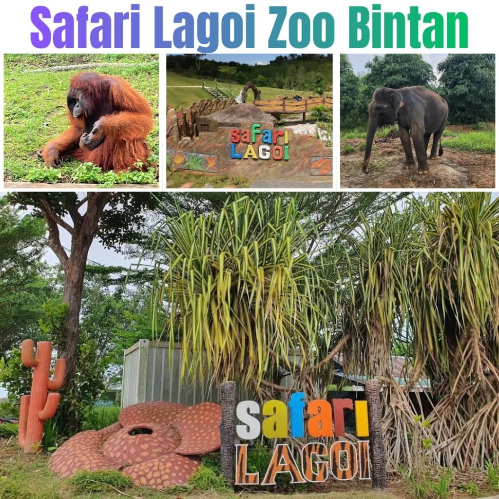 Safari Lagoi