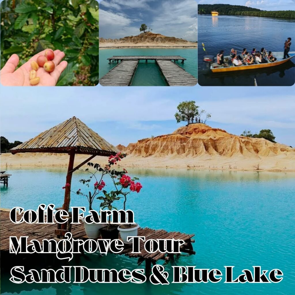 Private tours