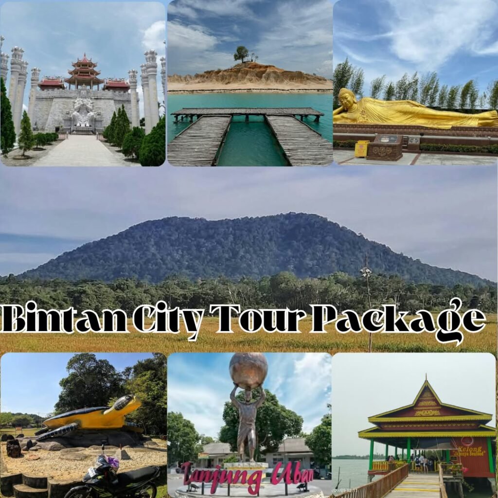 Bintan town package