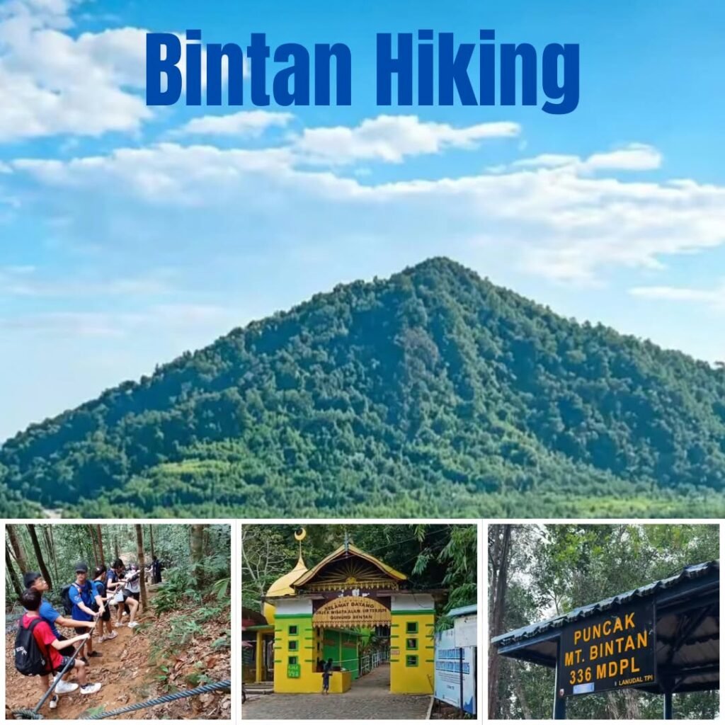 Bintan mountain