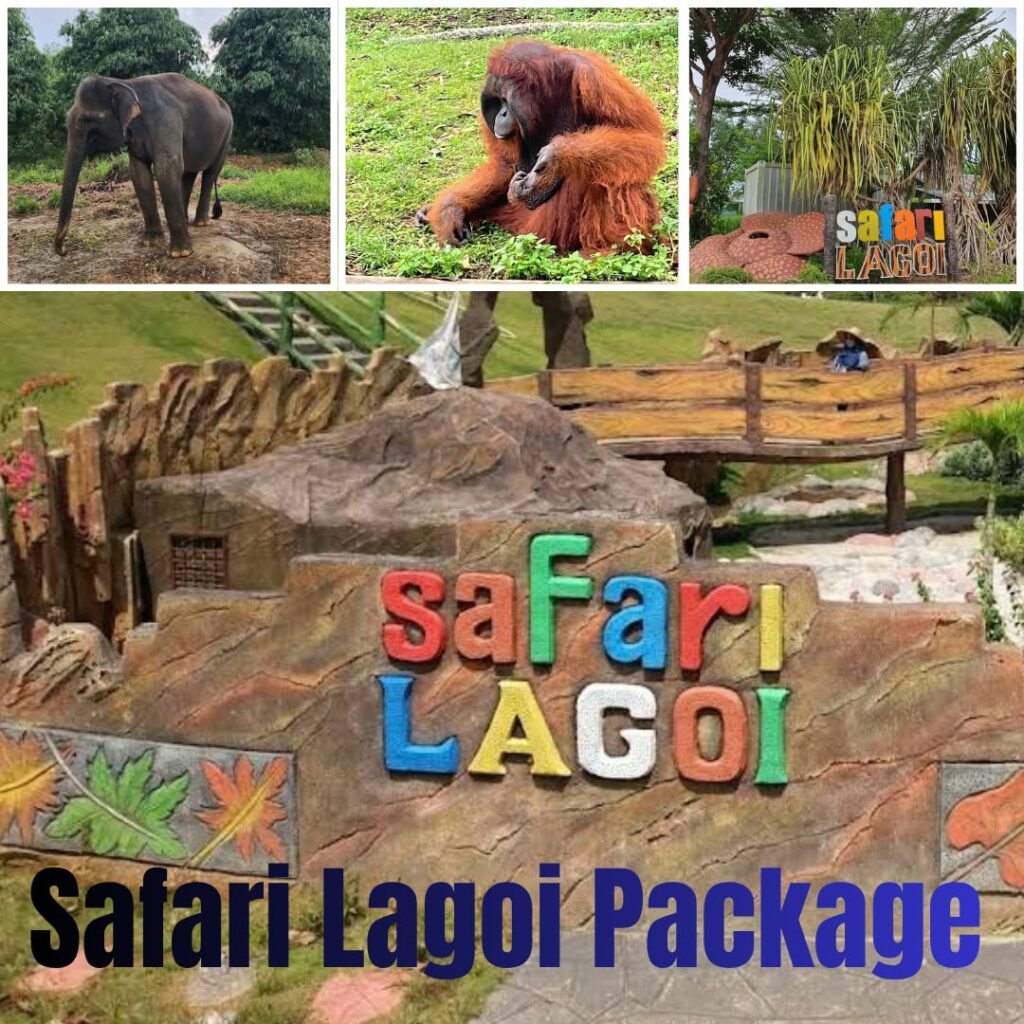 Safari Lagoi